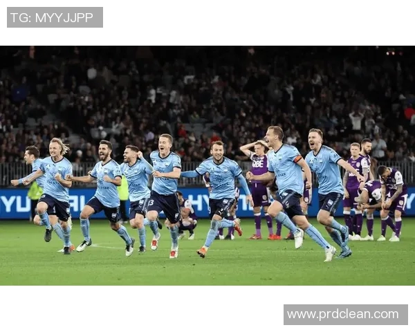 威灵顿凤凰主场迎战悉尼足球队争夺胜利的精彩对决即将上演 威灵顿凤凰主场迎战悉尼足球队争夺胜利的精彩对决即将上演