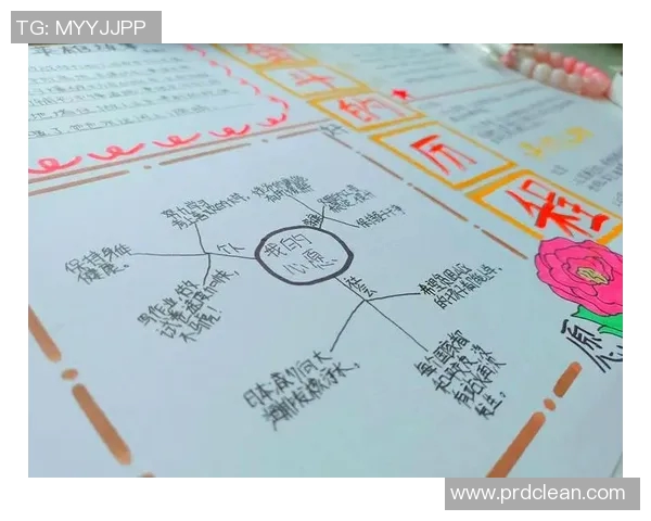 苏伟：从平凡到卓越的奋斗之路与人生哲学探讨