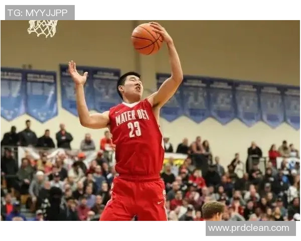 王泉泽：从篮球新星到国家队核心的成长之路与未来展望