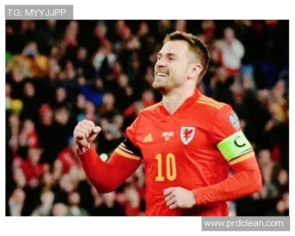 威尔士与芬兰精彩对决视频回顾及赛后分析