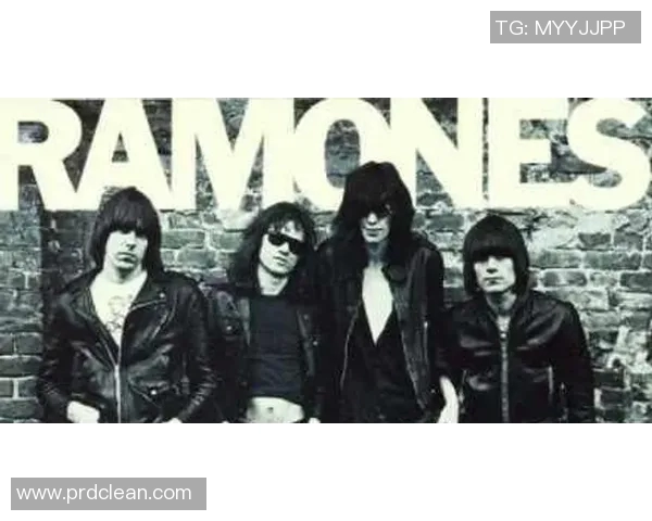 斯通斯的传奇之旅：探索摇滚乐的巅峰与历史的交汇