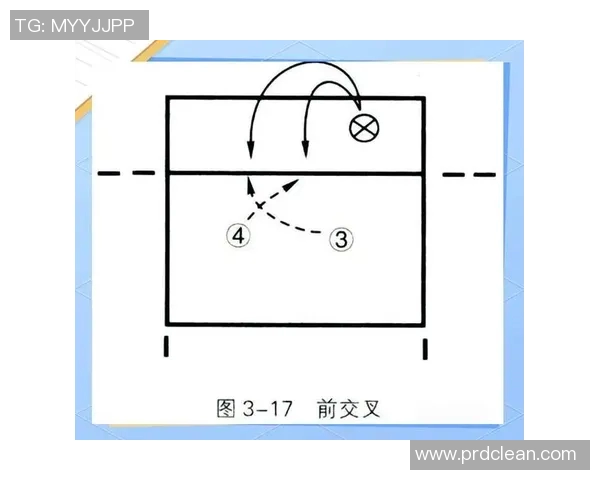 杭州排球队快攻战术解析与实战应用探讨MBA