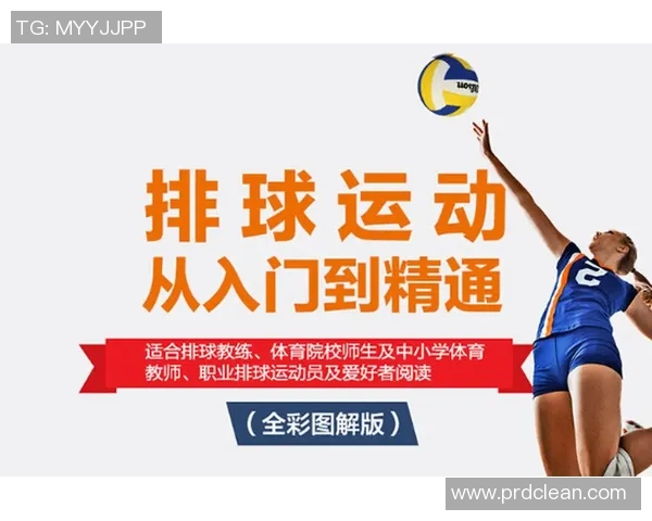 武汉排球队的节奏打法解析与战术创新探讨