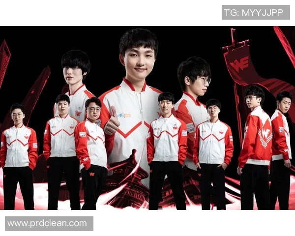 深入分析JDG战队配合策略与战术执行的成功之道