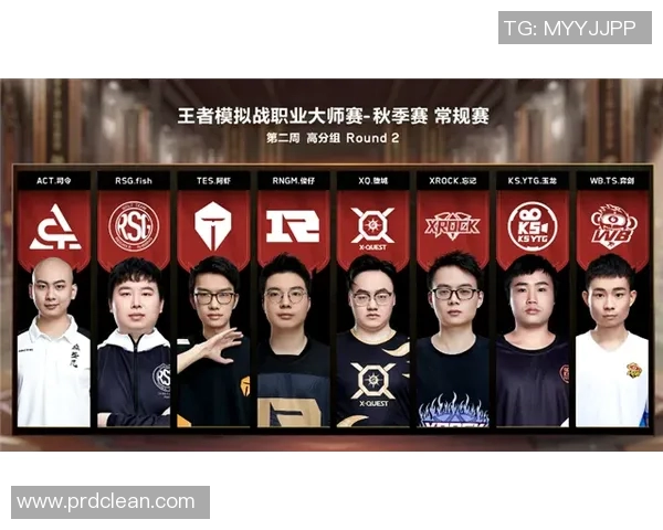TES在大师赛中的技术表现分析与战术解读